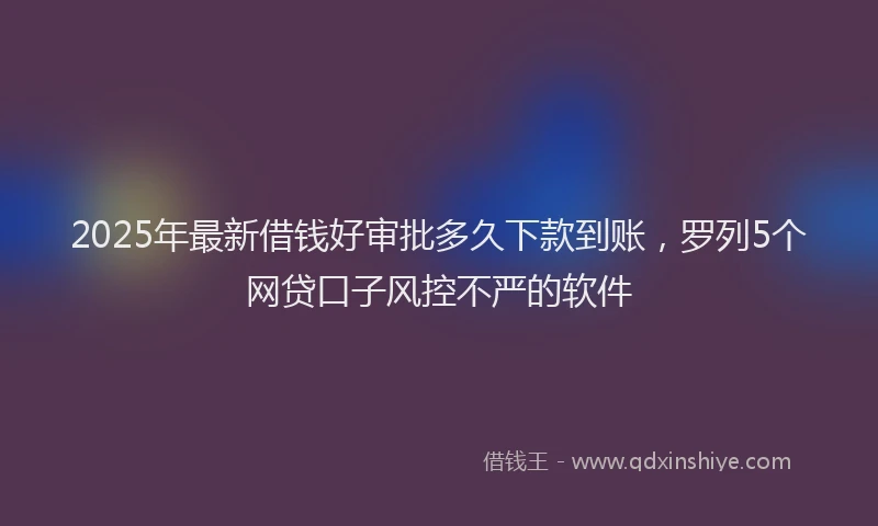 2025年最新借钱好审批多久下款到账，罗列5个网贷口子风控不严的软件