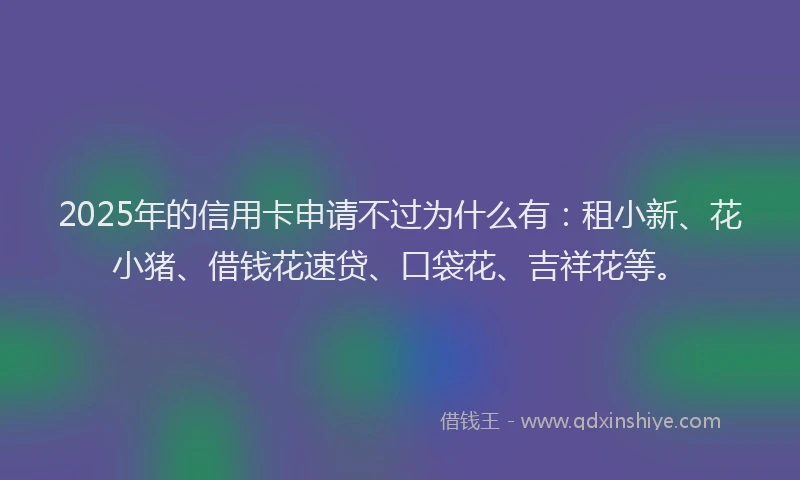 2025年的信用卡申请不过为什么有：租小新、花小猪、借钱花速贷、口袋花、吉祥花等。
