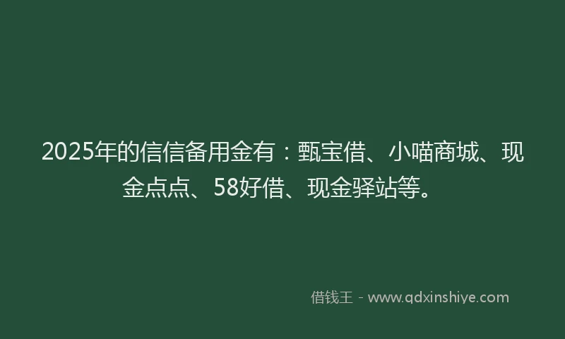 2025年的信信备用金有：甄宝借、小喵商城、现金点点、58好借、现金驿站等。