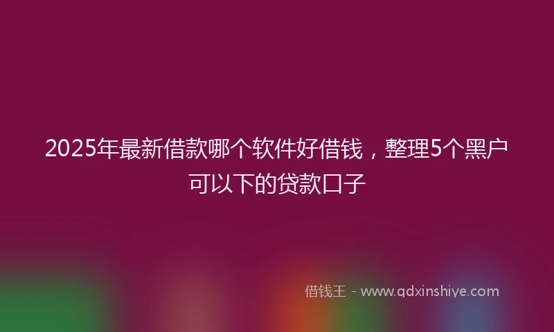 2025年最新借款哪个软件好借钱，整理5个黑户可以下的贷款口子