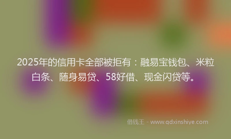 2025年的信用卡全部被拒有：融易宝钱包、米粒白条、随身易贷、58好借、现金闪贷等。