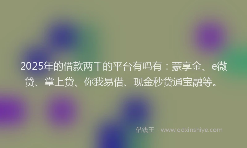 2025年的借款两千的平台有吗有：蒙享金、e微贷、掌上贷、你我易借、现金秒贷通宝融等。