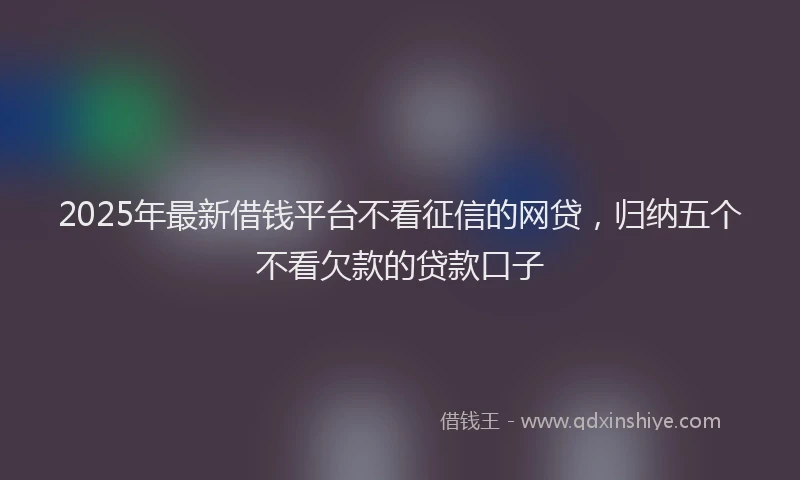 2025年最新借钱平台不看征信的网贷，归纳五个不看欠款的贷款口子