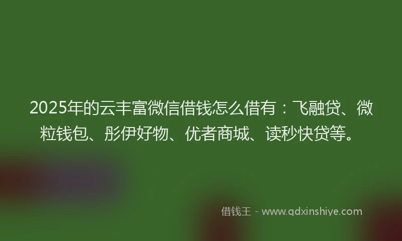 2025年的云丰富微信借钱怎么借有：飞融贷、微粒钱包、彤伊好物、优者商城、读秒快贷等。