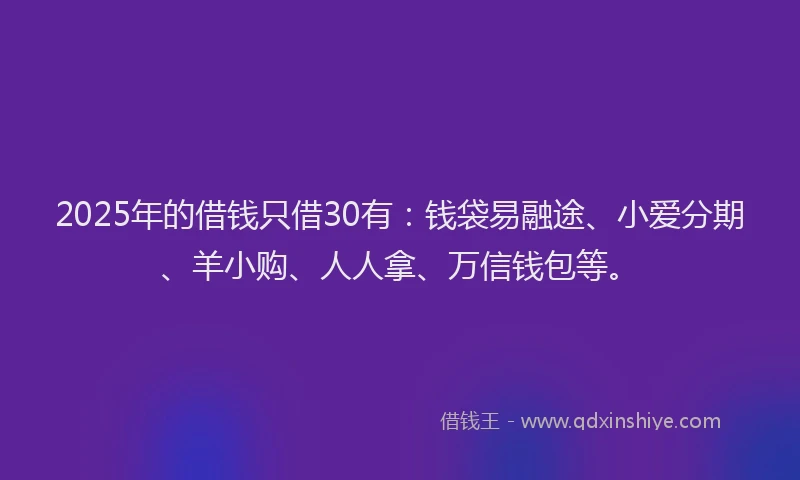 2025年的借钱只借30有：钱袋易融途、小爱分期、羊小购、人人拿、万信钱包等。