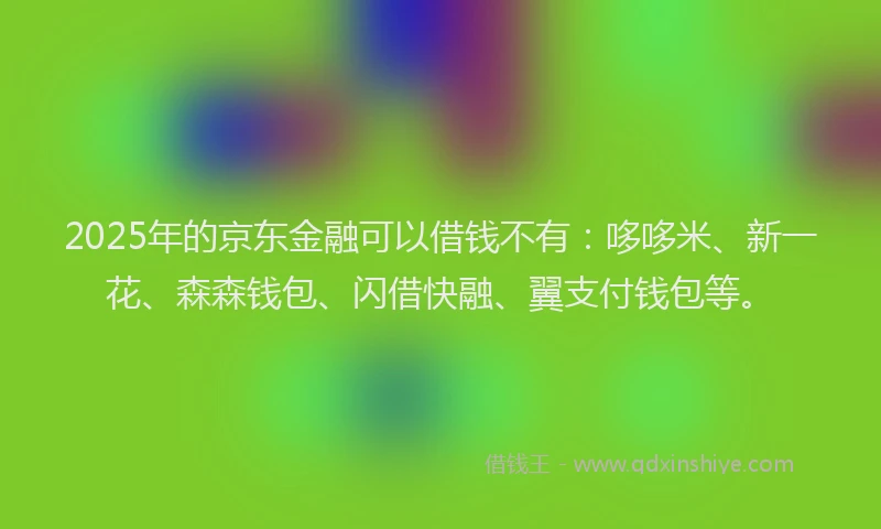 2025年的京东金融可以借钱不有：哆哆米、新一花、森森钱包、闪借快融、翼支付钱包等。