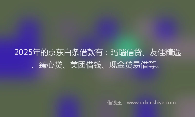 2025年的京东白条借款有：玛瑙信贷、友佳精选、臻心贷、美团借钱、现金贷易借等。