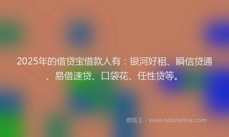 2025年的借贷宝借款人有：银河好租、瞬信贷通、易借速贷、口袋花、任性贷等。