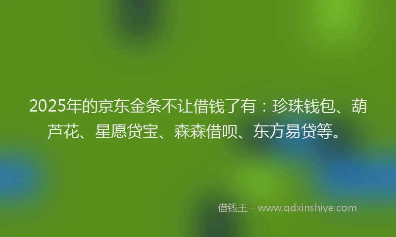 2025年的京东金条不让借钱了有：珍珠钱包、葫芦花、星愿贷宝、森森借呗、东方易贷等。