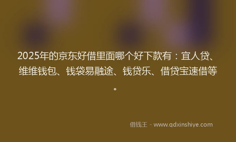 2025年的京东好借里面哪个好下款有：宜人贷、维维钱包、钱袋易融途、钱贷乐、借贷宝速借等。