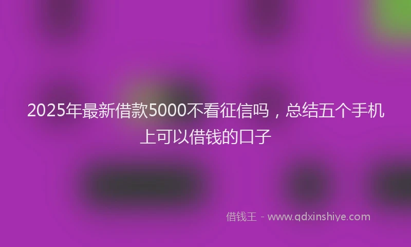 2025年最新借款5000不看征信吗，总结五个手机上可以借钱的口子