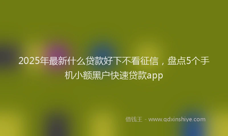 2025年最新什么贷款好下不看征信，盘点5个手机小额黑户快速贷款app