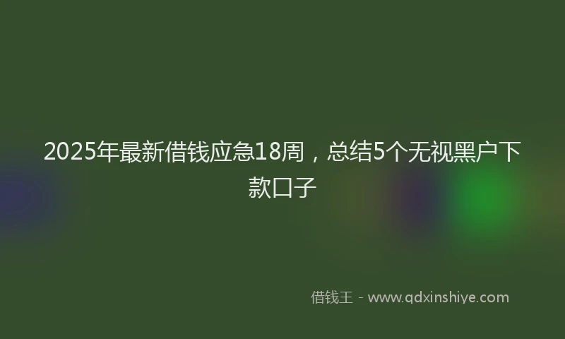 2025年最新借钱应急18周，总结5个无视黑户下款口子