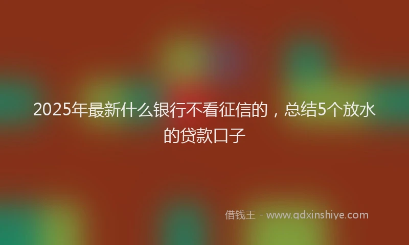 2025年最新什么银行不看征信的，总结5个放水的贷款口子