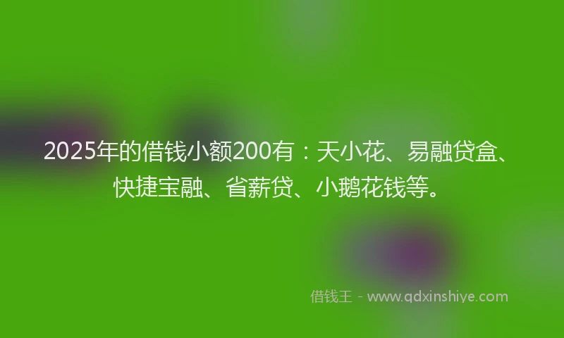 2025年的借钱小额200有：天小花、易融贷盒、快捷宝融、省薪贷、小鹅花钱等。