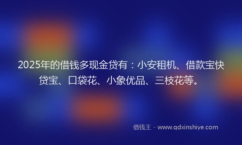 2025年的借钱多现金贷有：小安租机、借款宝快贷宝、口袋花、小象优品、三枝花等。