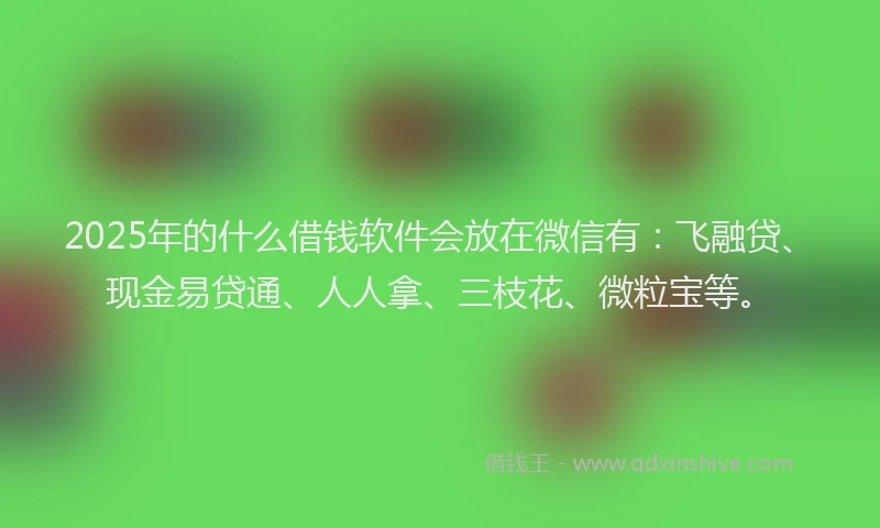 2025年的什么借钱软件会放在微信有：飞融贷、现金易贷通、人人拿、三枝花、微粒宝等。