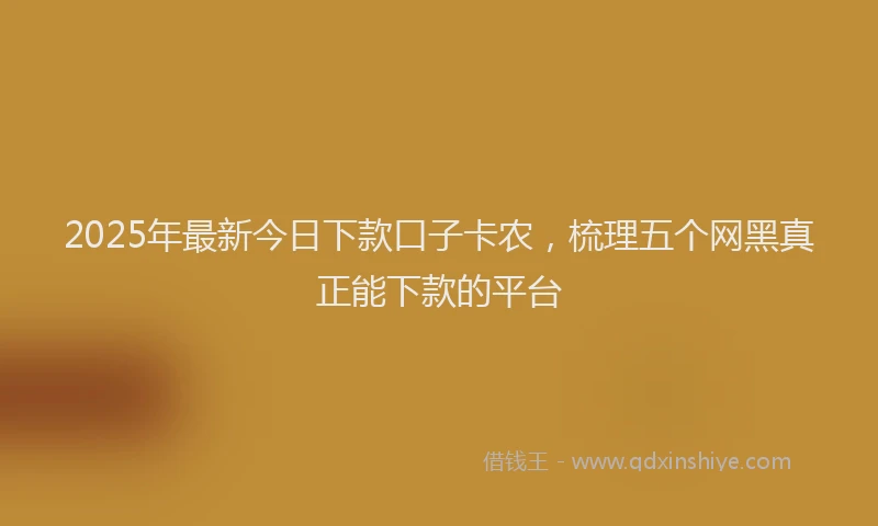 2025年最新今日下款口子卡农，梳理五个网黑真正能下款的平台