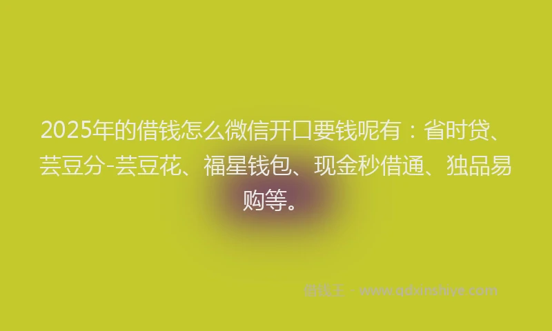 2025年的借钱怎么微信开口要钱呢有：省时贷、芸豆分-芸豆花、福星钱包、现金秒借通、独品易购等。