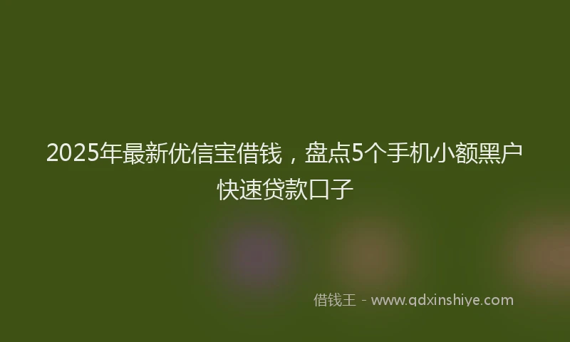 2025年最新优信宝借钱，盘点5个手机小额黑户快速贷款口子