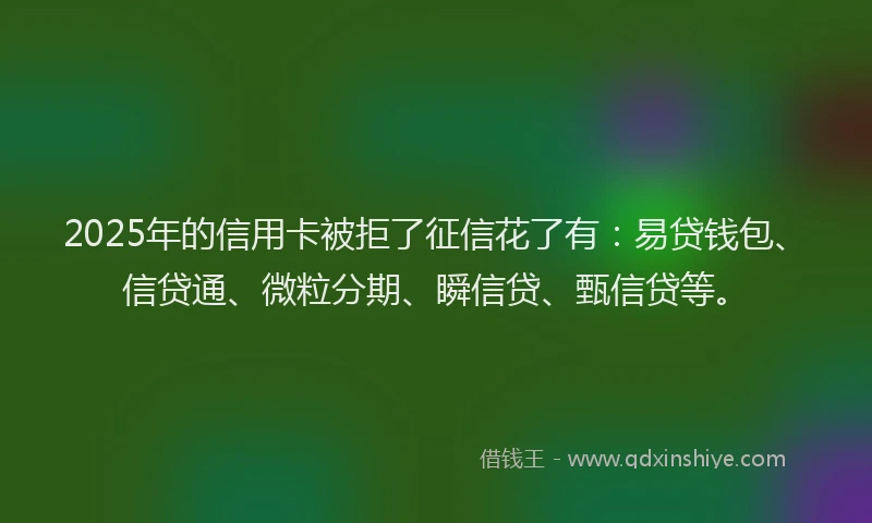 2025年的信用卡被拒了征信花了有：易贷钱包、信贷通、微粒分期、瞬信贷、甄信贷等。