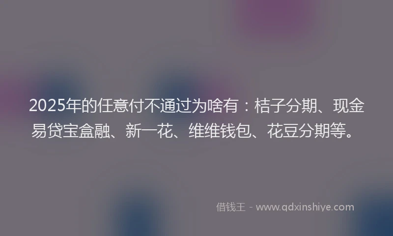 2025年的任意付不通过为啥有：桔子分期、现金易贷宝盒融、新一花、维维钱包、花豆分期等。