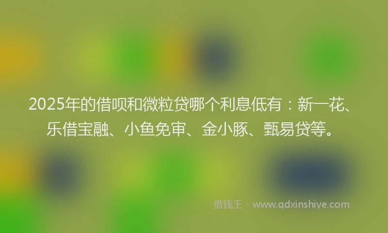 2025年的借呗和微粒贷哪个利息低有：新一花、乐借宝融、小鱼免审、金小豚、甄易贷等。