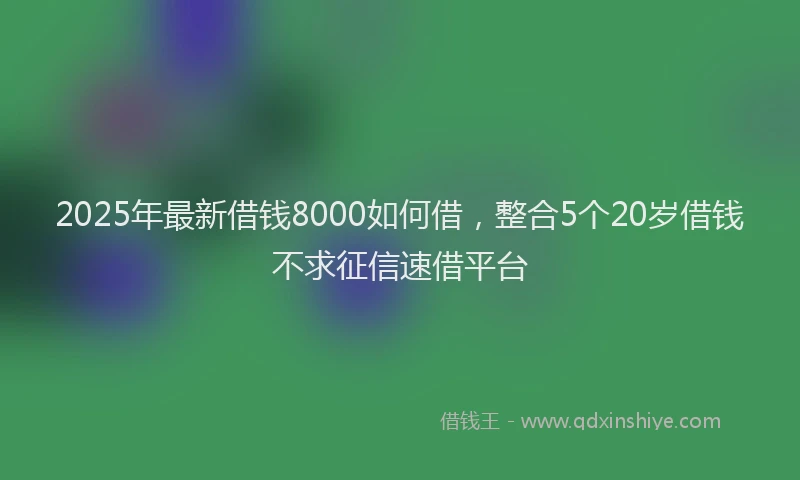2025年最新借钱8000如何借，整合5个20岁借钱不求征信速借平台