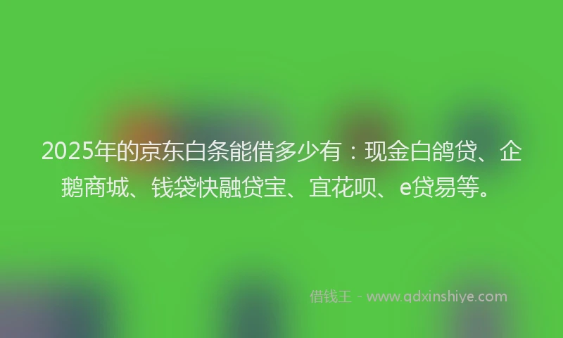 2025年的京东白条能借多少有：现金白鸽贷、企鹅商城、钱袋快融贷宝、宜花呗、e贷易等。