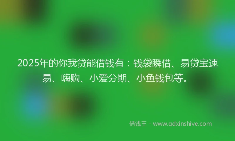 2025年的你我贷能借钱有：钱袋瞬借、易贷宝速易、嗨购、小爱分期、小鱼钱包等。