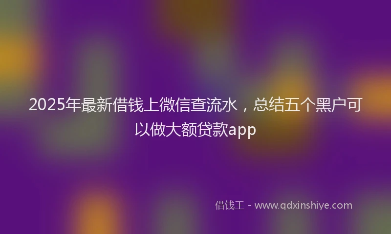 2025年最新借钱上微信查流水，总结五个黑户可以做大额贷款app