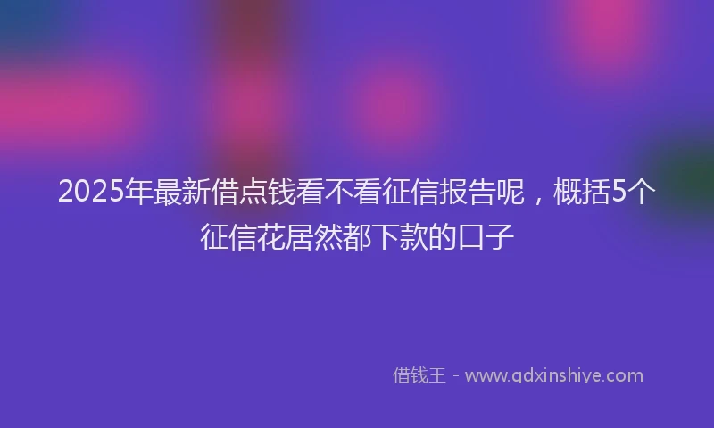 2025年最新借点钱看不看征信报告呢，概括5个征信花居然都下款的口子