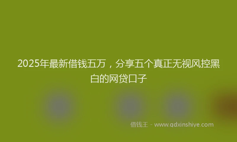 2025年最新借钱五万，分享五个真正无视风控黑白的网贷口子