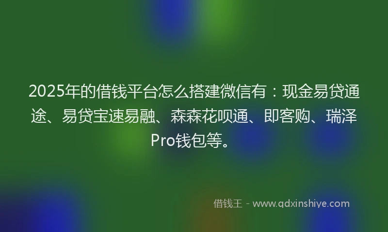 2025年的借钱平台怎么搭建微信有：现金易贷通途、易贷宝速易融、森森花呗通、即客购、瑞泽Pro钱包等。