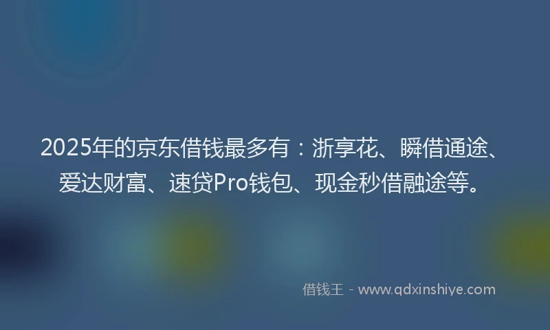 2025年的京东借钱最多有：浙享花、瞬借通途、爱达财富、速贷Pro钱包、现金秒借融途等。