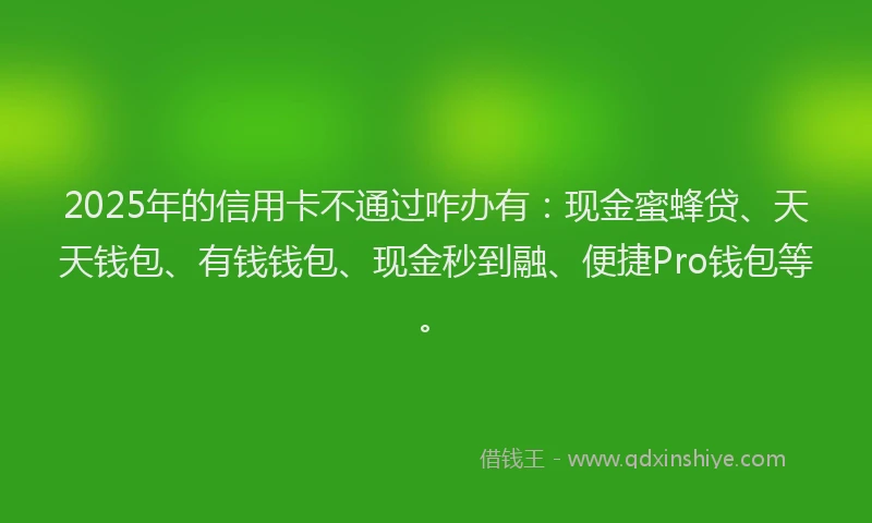 2025年的信用卡不通过咋办有：现金蜜蜂贷、天天钱包、有钱钱包、现金秒到融、便捷Pro钱包等。