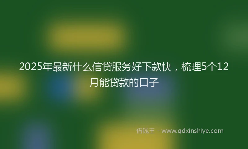 2025年最新什么信贷服务好下款快，梳理5个12月能贷款的口子