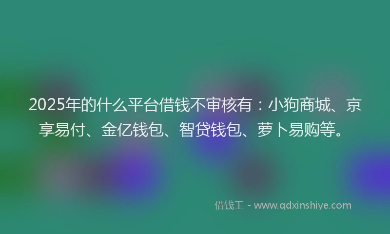 2025年的什么平台借钱不审核有：小狗商城、京享易付、金亿钱包、智贷钱包、萝卜易购等。