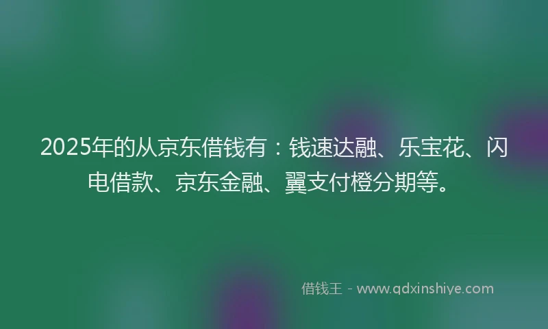 2025年的从京东借钱有：钱速达融、乐宝花、闪电借款、京东金融、翼支付橙分期等。