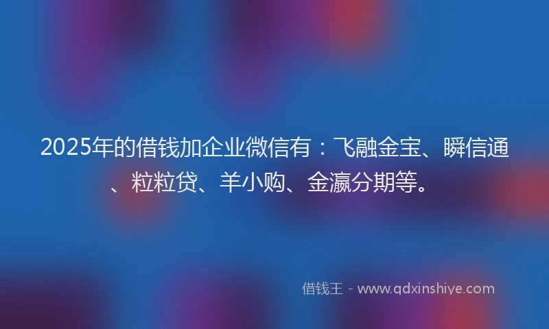 2025年的借钱加企业微信有：飞融金宝、瞬信通、粒粒贷、羊小购、金瀛分期等。