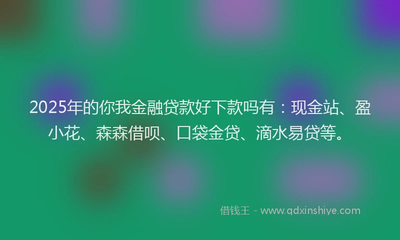 2025年的你我金融贷款好下款吗有：现金站、盈小花、森森借呗、口袋金贷、滴水易贷等。