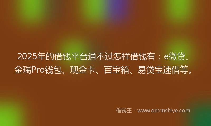 2025年的借钱平台通不过怎样借钱有：e微贷、金瑞Pro钱包、现金卡、百宝箱、易贷宝速借等。