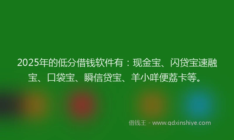 2025年的低分借钱软件有：现金宝、闪贷宝速融宝、口袋宝、瞬信贷宝、羊小咩便荔卡等。