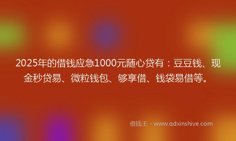 2025年的借钱应急1000元随心贷有：豆豆钱、现金秒贷易、微粒钱包、够享借、钱袋易借等。