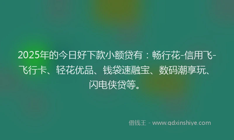 2025年的今日好下款小额贷有：畅行花-信用飞-飞行卡、轻花优品、钱袋速融宝、数码潮享玩、闪电侠贷等。