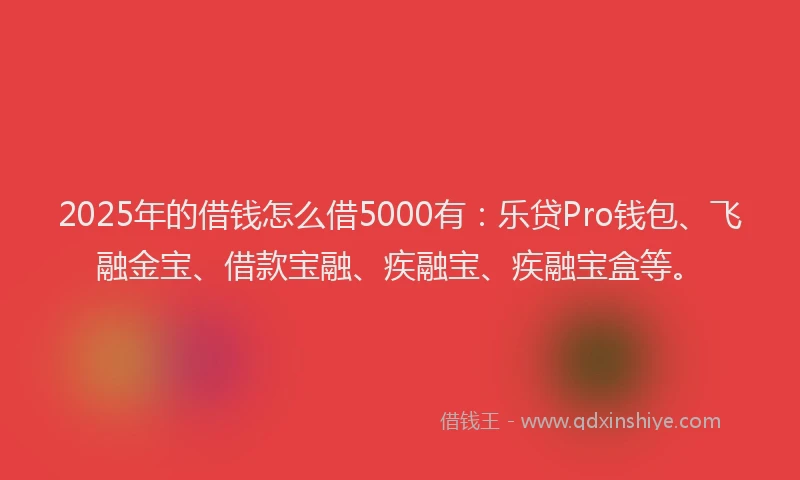 2025年的借钱怎么借5000有：乐贷Pro钱包、飞融金宝、借款宝融、疾融宝、疾融宝盒等。
