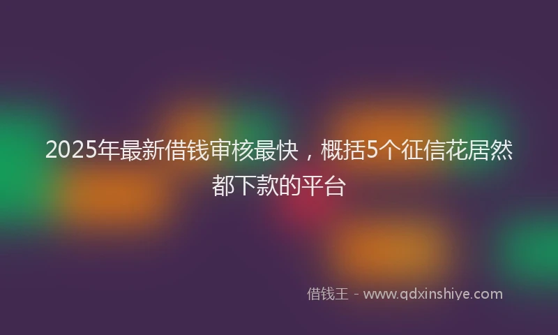 2025年最新借钱审核最快，概括5个征信花居然都下款的平台