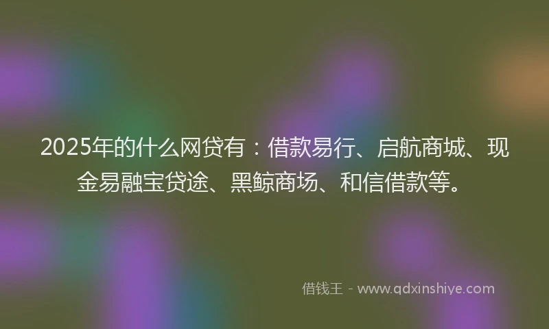 2025年的什么网贷有：借款易行、启航商城、现金易融宝贷途、黑鲸商场、和信借款等。