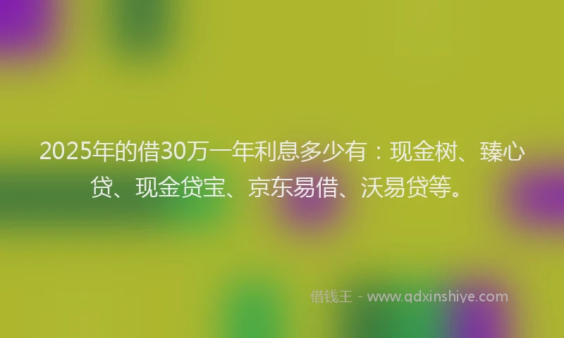 2025年的借30万一年利息多少有：现金树、臻心贷、现金贷宝、京东易借、沃易贷等。