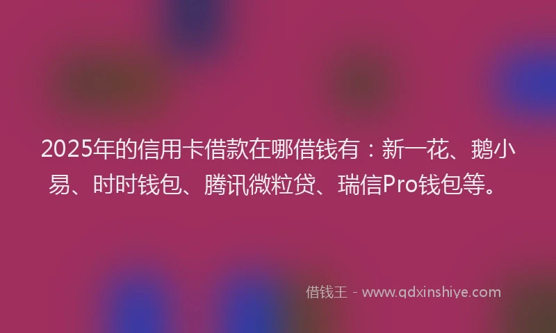 2025年的信用卡借款在哪借钱有：新一花、鹅小易、时时钱包、腾讯微粒贷、瑞信Pro钱包等。